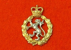 Women`s Royal Army Corps Metal Cap Badge Queen`s Crown