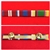 Quality Queens Diamond Jubilee Queens Platinum Jubilee Fire Brigade Long Service Medal Ribbon Bar Stud Type