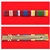 Quality Queens Diamond Jubilee Queens Platinum Jubilee Cadet Force Long Service Medal Ribbon Bar Pin Type