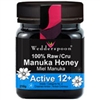 Raw Manuka Honey Active 12+, 250g