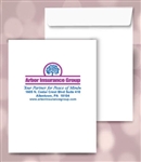 6 x 9 Catalog Envelopes, 2 PMS color print, # 20020PMS2