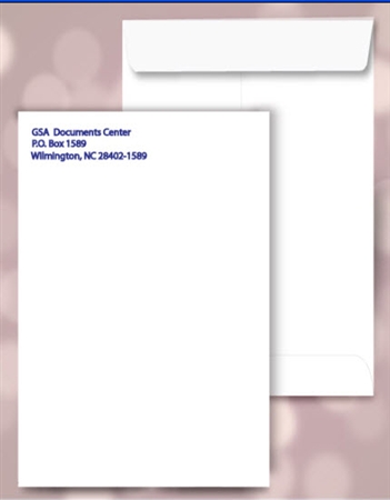 10 x 13 Catalog Envelopes, 1 PMS color print, #20060PMS