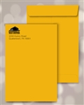 9 x 12 Brown Kraft Catalog Envelopes, Black print, # 25040P