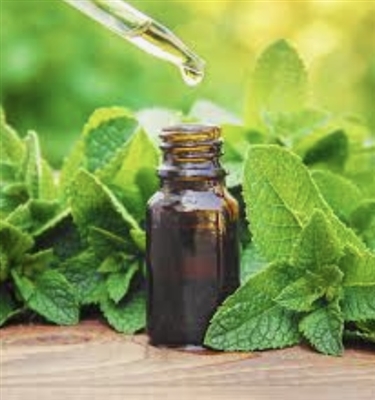 Peppermint Essential Oil