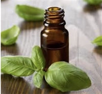 Basil Essential Oil