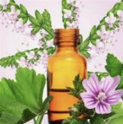 Patchouli Essential Oil