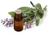 Sage Essential Oil