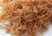 Sea Moss