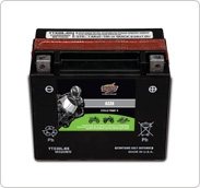 Interstate Marine/Specialty Battery--PWC
