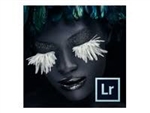 Lightroom - Adobe CLP Program - Volume/Site Licens