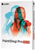Corel PaintShop Pro 2019 Corporate Edition License Single User  -Commercial -ESD Win