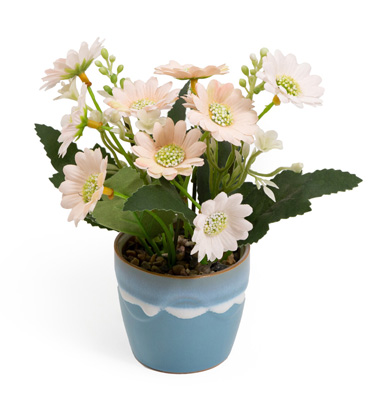 Dainty Daisies Flower Pot