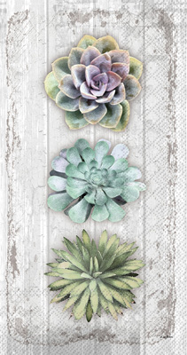 Succulents Still Life Guest Towels