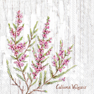 Calluna Vulgaris Cocktail Napkin grey