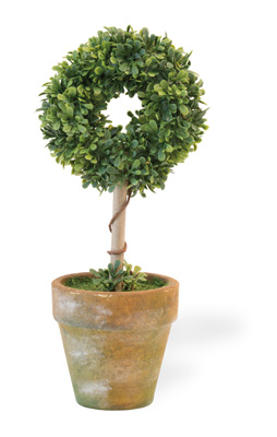 Circle Topiary in Clay Pot