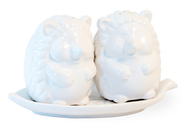 Hedgehog Salt & Pepper Set