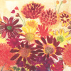 Bunch of Fall Flowers Lunch Napkins