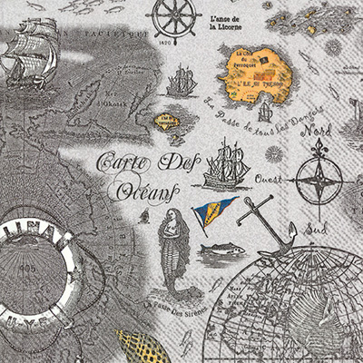 Carte des Oceans Grey Lunch Napkins