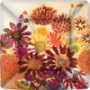 Bunch of Fall Flowers Dinner Paper Plates