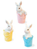 Bunny Buddies in Pails