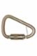 Fall Tech Self Locking Carabiner