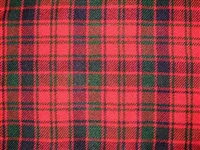 Economy Kilt - Robertson Modern Tartan