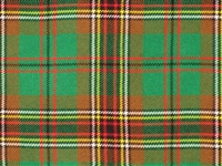 Acrylic Sash - Tara (Murphy/Irish) Tartan