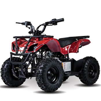 MINI RACER 60CC ATV