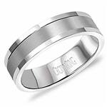 10K White Gold Band