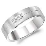 Diamond 10K White Gold Band