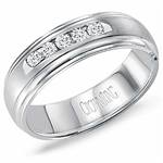 Diamond 10K White Gold Band