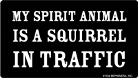 My Spirit Animal is a Squirrel in Traffic