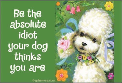 Be the absolute idiot your dog thinks you are.