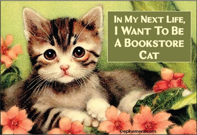 In my next life, I want to be a Bookstore Cat