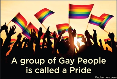 A group of gay people is called a Pride.