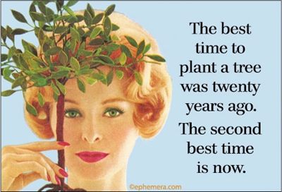 The best time to plant a tree was twenty years ago. The second best time is now."