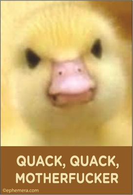 Quack, Quack Motherfucker!