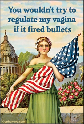 You wouldn't try to regulate my vagina if it fired bullets.