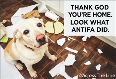 Thank God You're home, Look at what Antifa did!