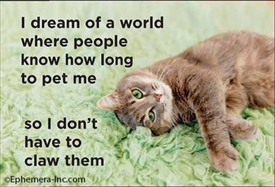 I dream of a world where people know how long to pet me so I don't have to claw them
