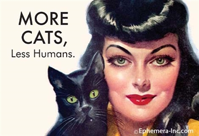MORE CATS, Less Humans