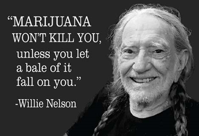 "MARIJUANA WON'T KILL YOU, unless you let a bale of it fall on you." -Willie Nelson