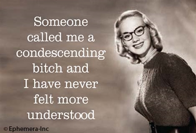 Someone called me a condescending bitch and I have never felt more understood