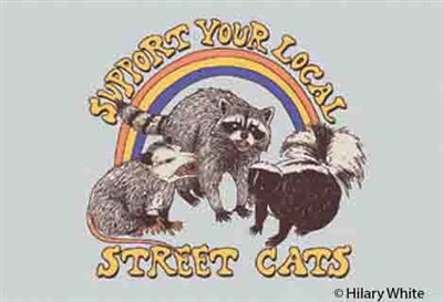 Support your local street cats