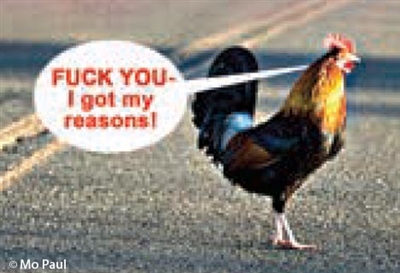 FUCK YOU - I got my reasons! (Chicken crossing the road)