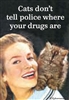 Cats don't tell police where your drugs are