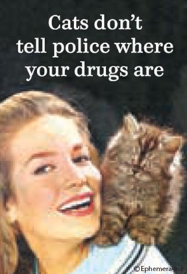 Cats don't tell police where your drugs are