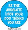 Be the absolute idiot your dog thinks you are.