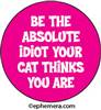 Be the absolute idiot your cat thinks you are.