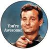 You're awesome (Bill Murray)